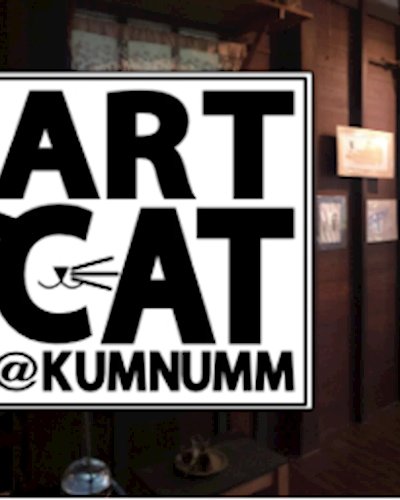 ART CAT @ KUMNUMM Zipevent
