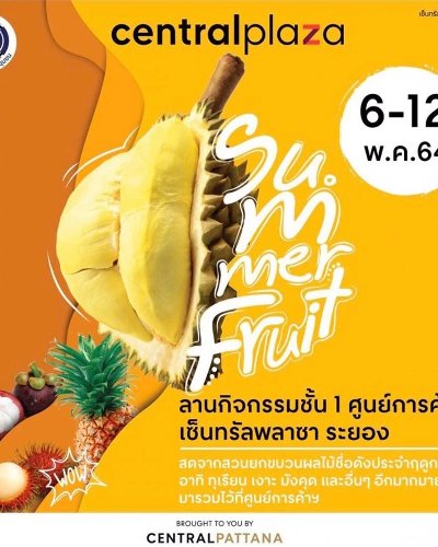Summer Fruit Zipevent