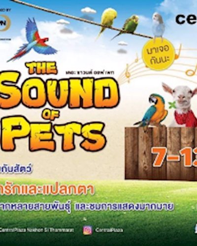 The Sound of Pets Zipevent