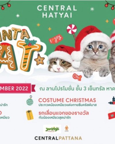 Santa Cat 2022 Zipevent
