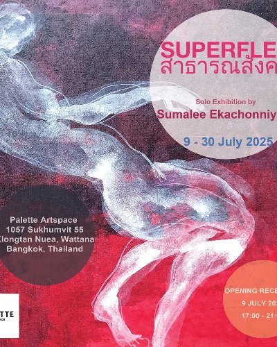 SUPERFLEX สาธารณสังคม Zipevent