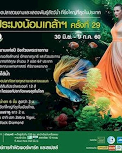 วันประมงน้อมเกล้าฯ ครั้งที่ 29 Zipevent