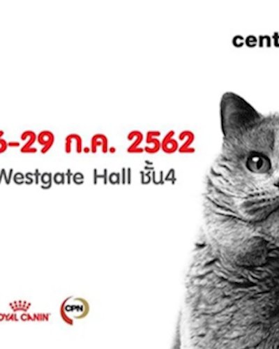 19th Thailand Cat Show 2019 Zipevent