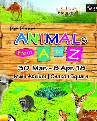 Pet Planet ตอน Animals From A-Z Zipevent