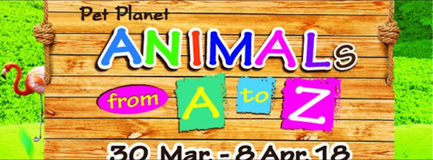 Pet Planet ตอน Animals From A-Z Zipevent