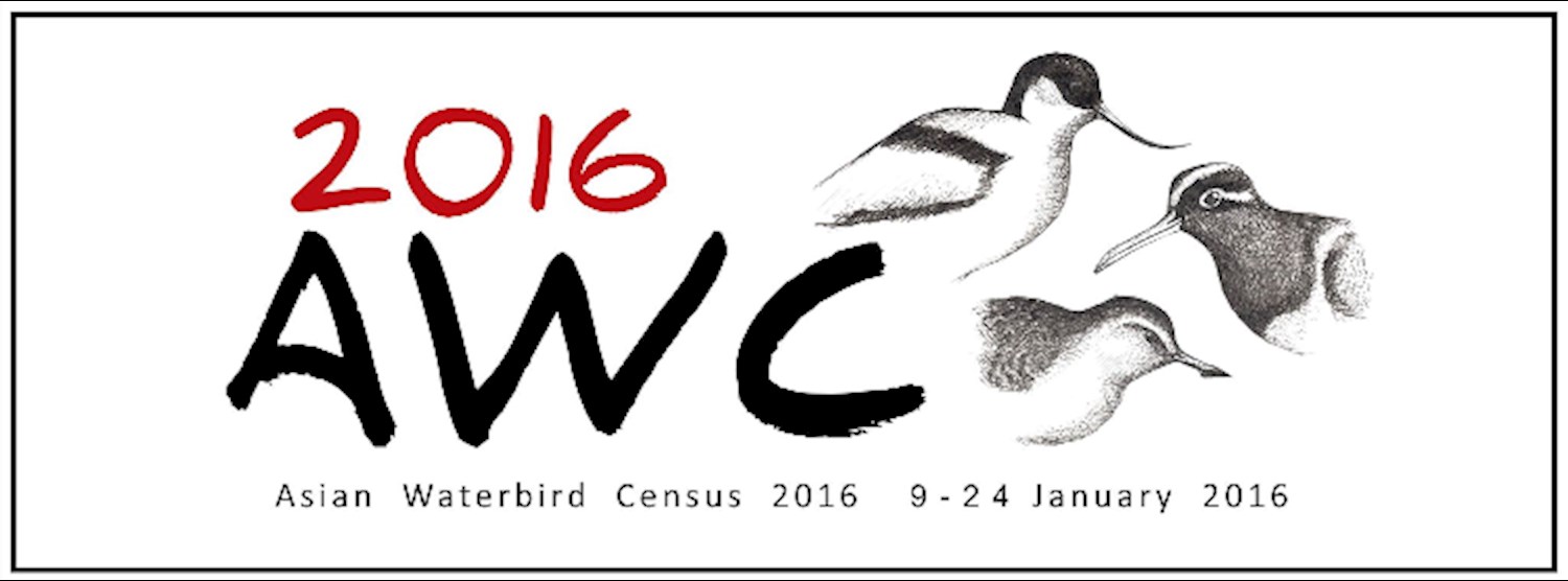กิจกรรมนับนกน้ำฤดูหนาวเอเชีย 2559 (Asian Waterbird Census 2016) Zipevent