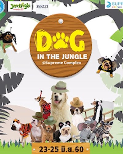 Dog in the Jungle 2017 Zipevent