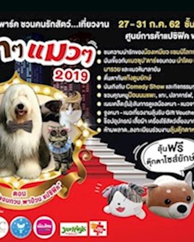 หมา ๆ แมว ๆ 2019 Zipevent