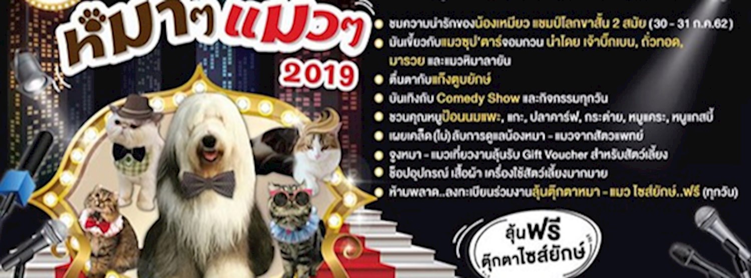 หมา ๆ แมว ๆ 2019 Zipevent