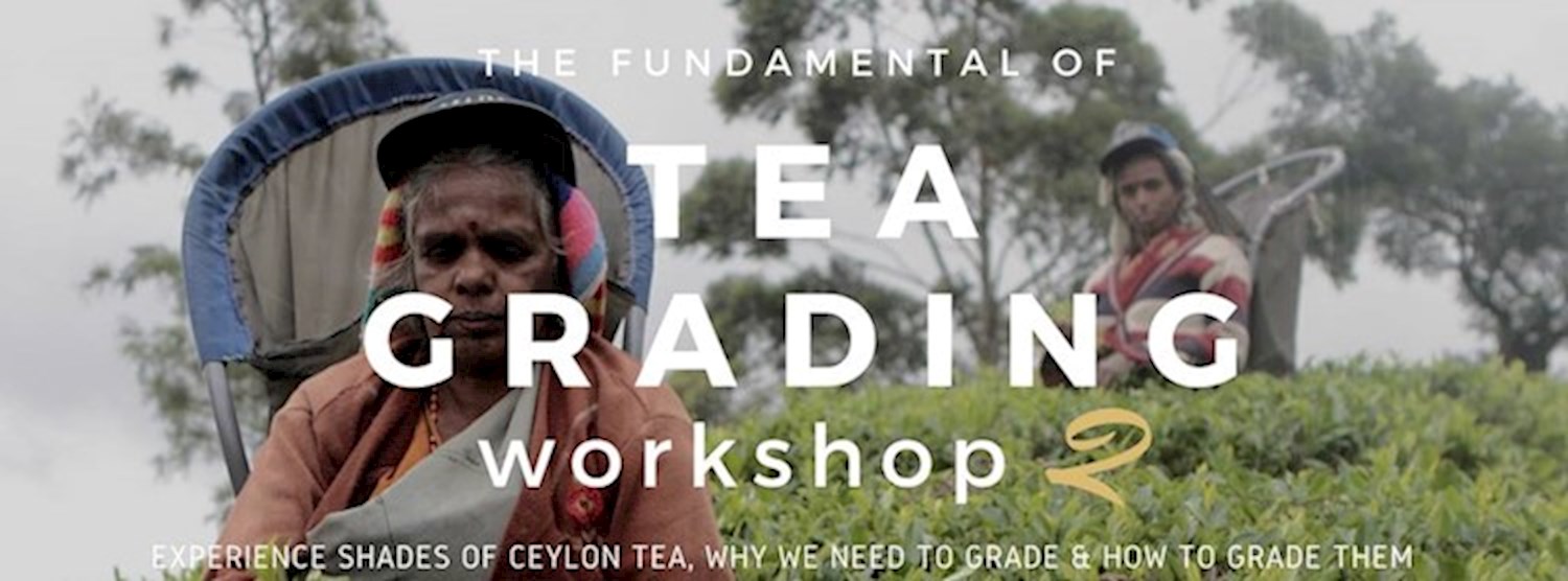 Tea Grading Workshop by SNSS x CHOTiCHA 2 Zipevent