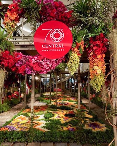 Central 70th Anniversary Zipevent