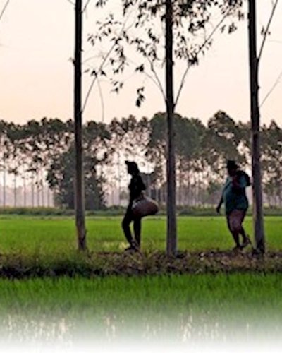 Can Trees be Harvested Sustainably? Zipevent
