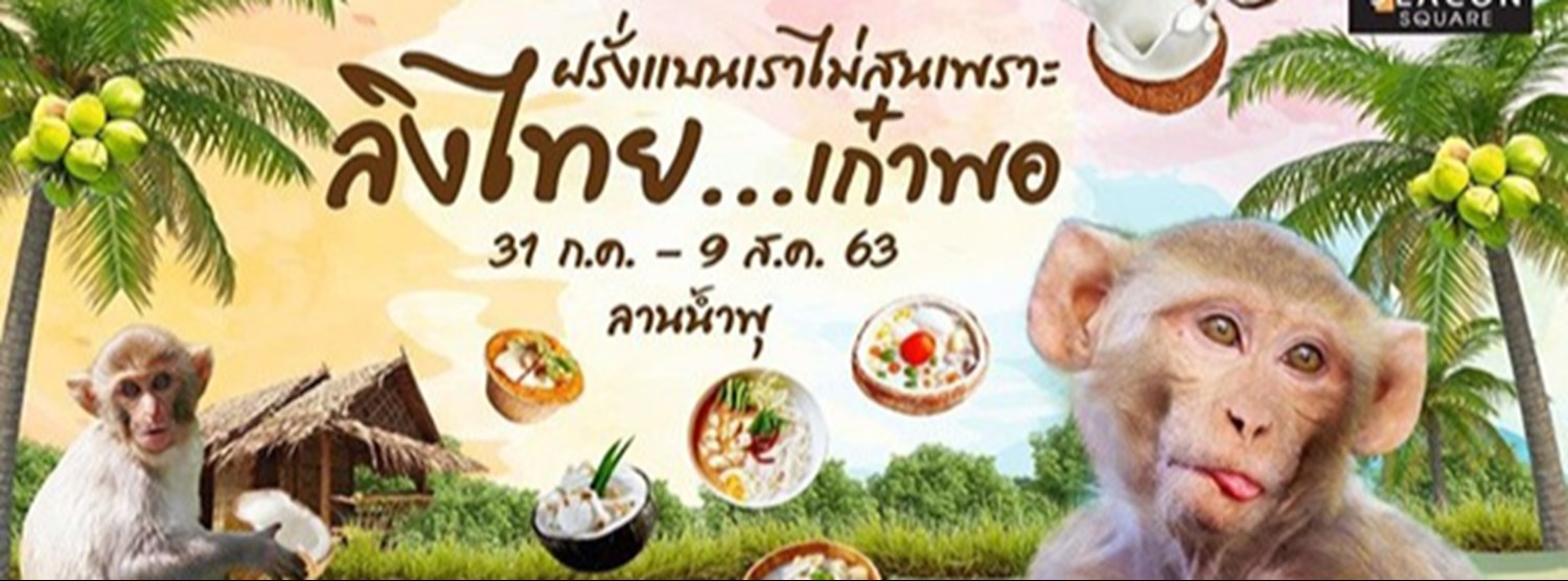 ลิงไทย เก๋าพอ Zipevent