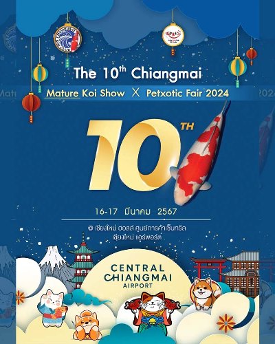 The 10th Chiangmai Mature Koi Show X Petxotic Fair 2024 Zipevent