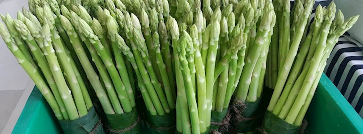 Bangkok Farmer's Market at Gateway Ekamai Dec 23th - 24th Zipevent