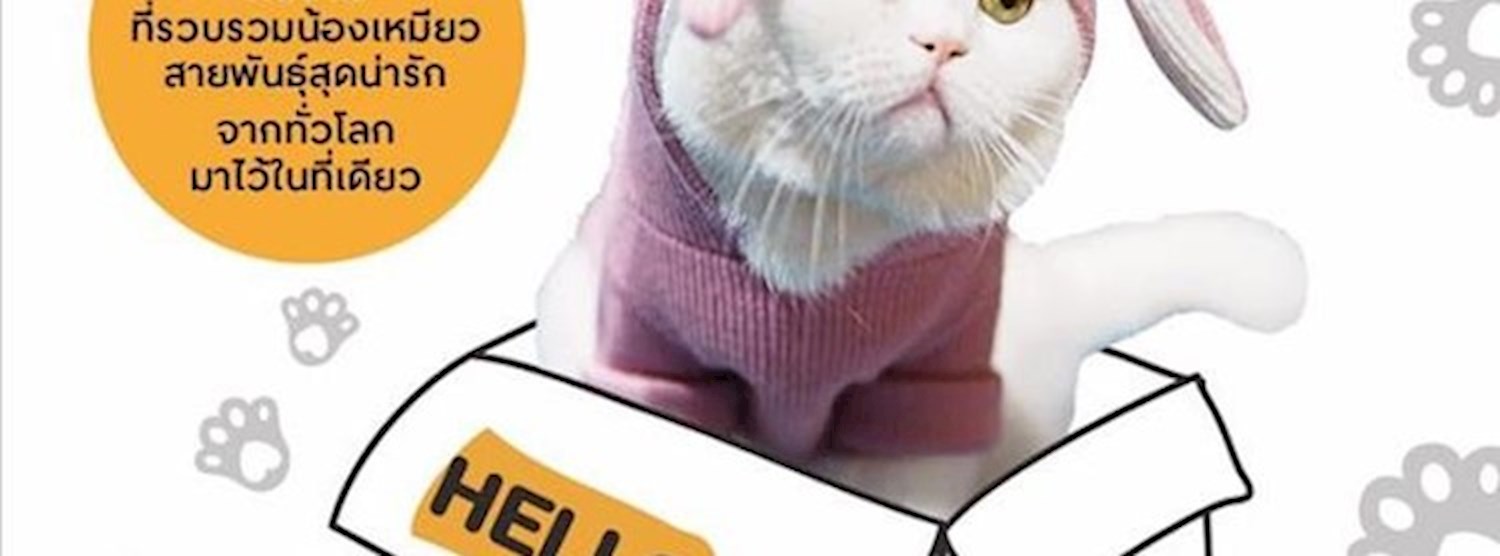 CAT LOVER 2019 Zipevent