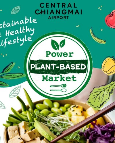 Power Plant-Based Market Zipevent