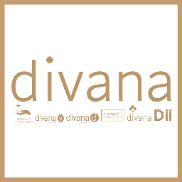 D V N International Co., Ltd. (Divana) Zipevent