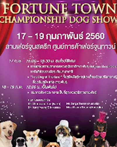 Fortune Town Championship Dog Shows เวทีประชันที่สุดของสุนัขทุกสายพันธุ์ Zipevent