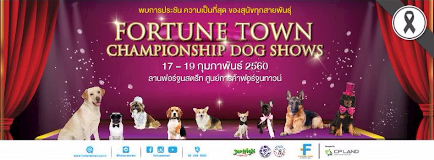 Fortune Town Championship Dog Shows เวทีประชันที่สุดของสุนัขทุกสายพันธุ์ Zipevent