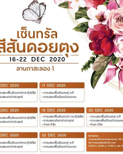สีสันแห่งดอยตุง x เซ็นทรัล เชียงราย Zipevent