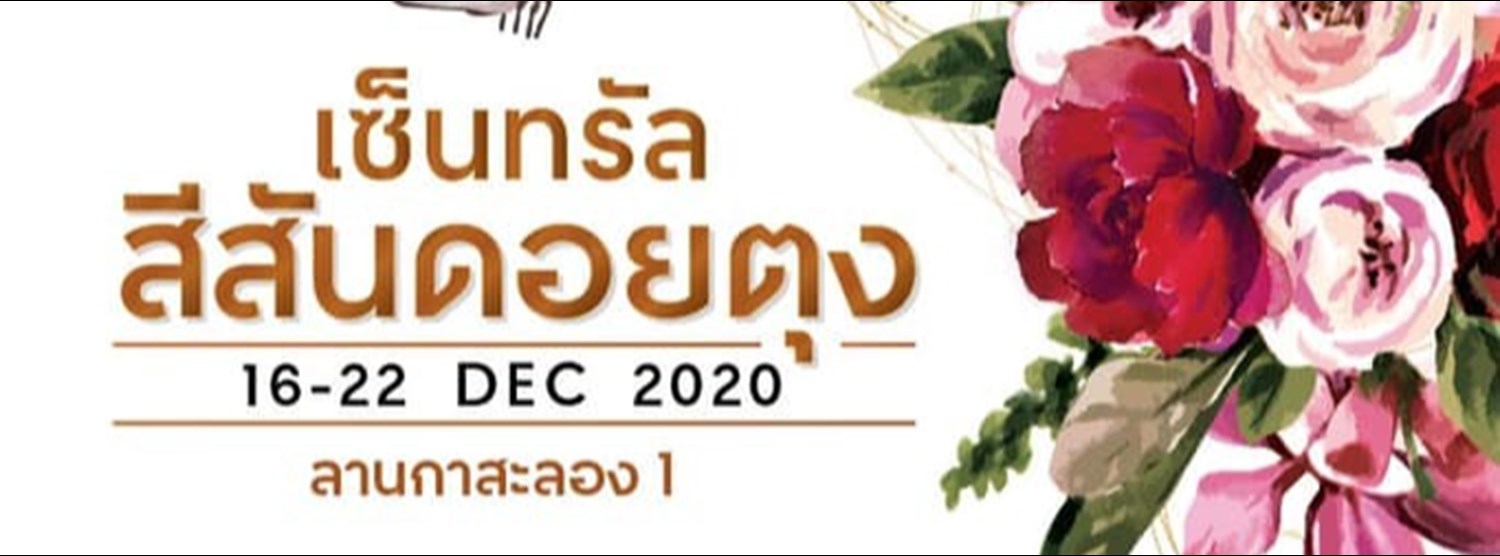 สีสันแห่งดอยตุง x เซ็นทรัล เชียงราย Zipevent