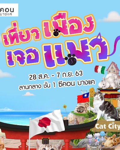 เที่ยวเมืองเจอแมว Zipevent