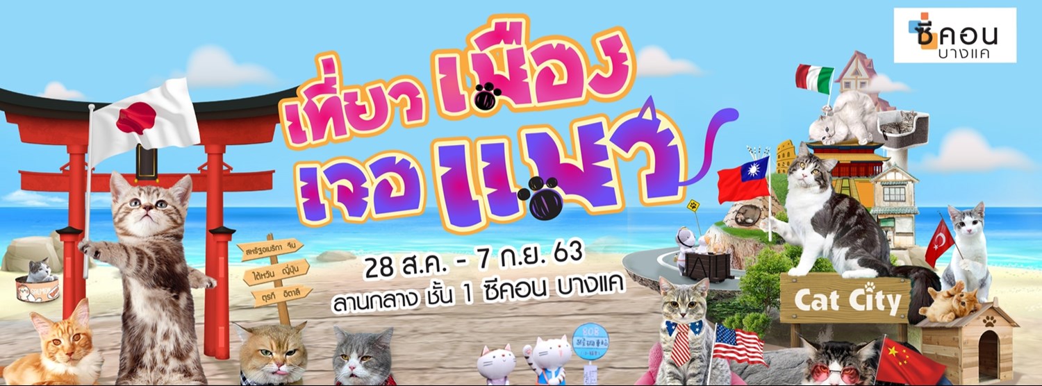 เที่ยวเมืองเจอแมว Zipevent