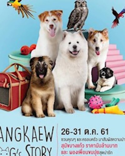 Bangkaew Dog Story Zipevent