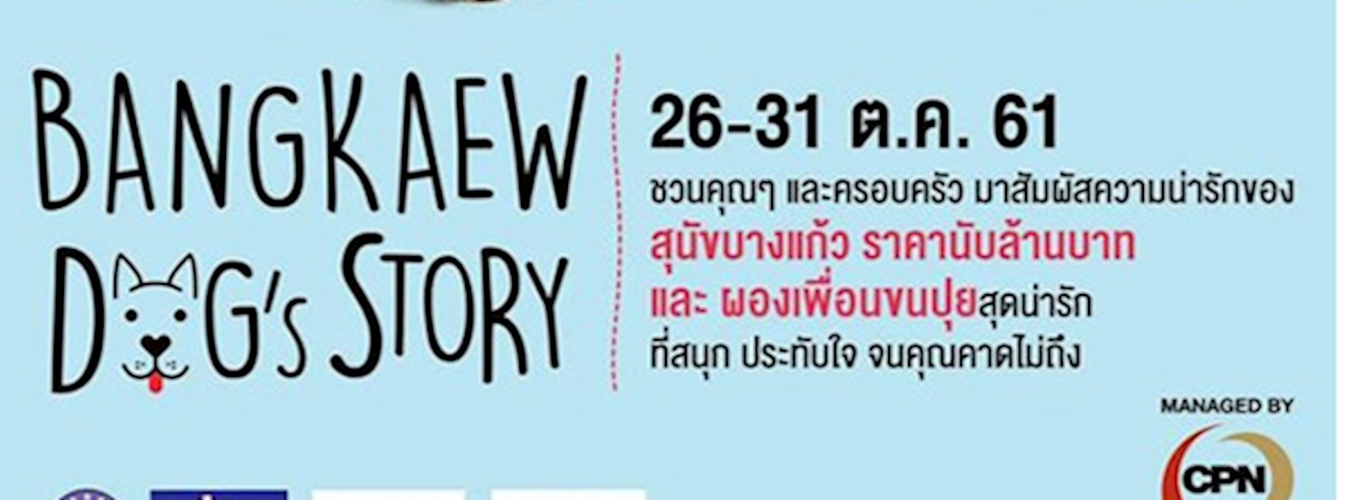 Bangkaew Dog Story Zipevent