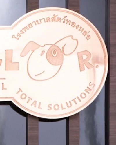 รพส.ทองหล่อ ยกขบวนทีมสัตวแพทย์ร่วมงาน Pet Expo 2019 ให้บริการตรวจสุขภาพเบื้องต้น พร้อมจัดแพ็คเกจเอาใจคนรักสัตว์เลี้ยง Zipevent