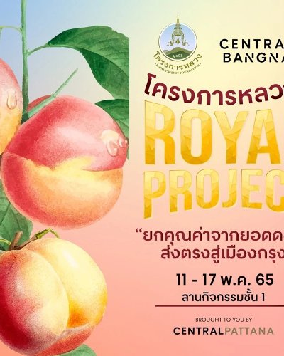 ROYAL PROJECT Zipevent