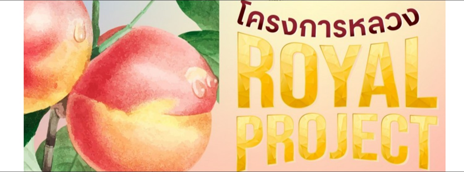 ROYAL PROJECT Zipevent