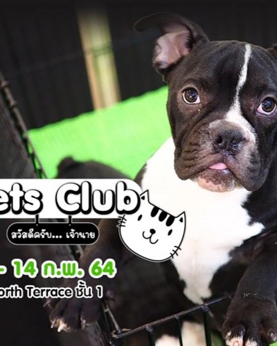 Pets Club สวัสดีครับ... เจ้านาย Zipevent