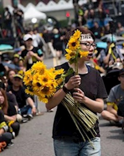 Cultural Studies Film - Sunflower Occupation Zipevent