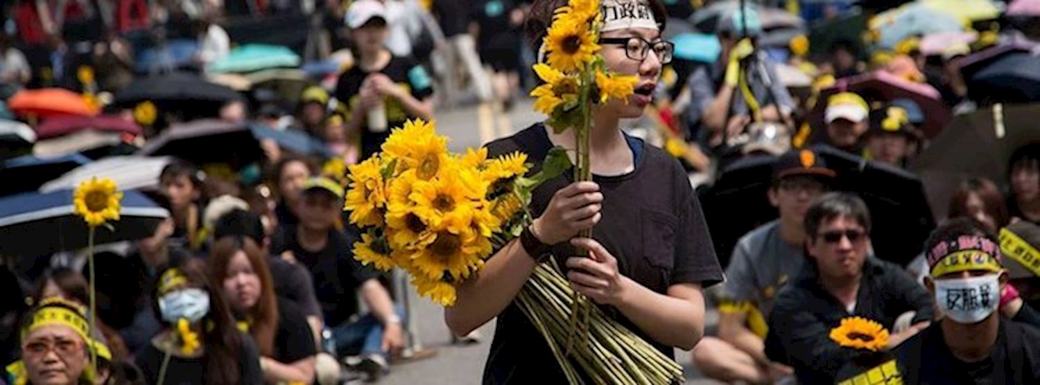 Cultural Studies Film - Sunflower Occupation Zipevent
