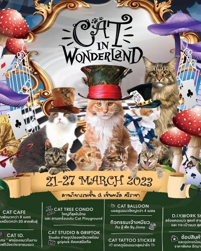 Cat in Wonderland Zipevent