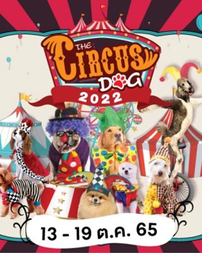 The Circus Dog Zipevent