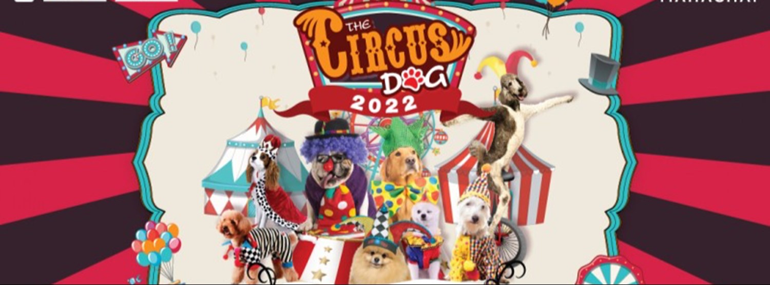The Circus Dog Zipevent