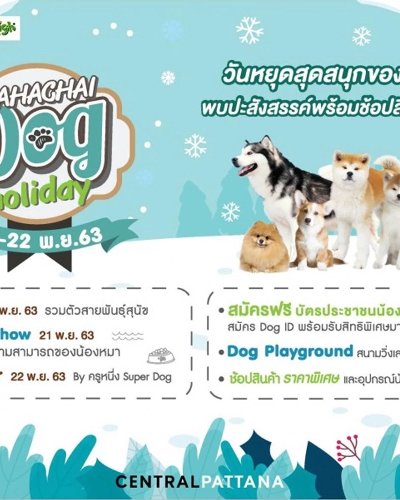 Mahachai Dog Holiday Zipevent