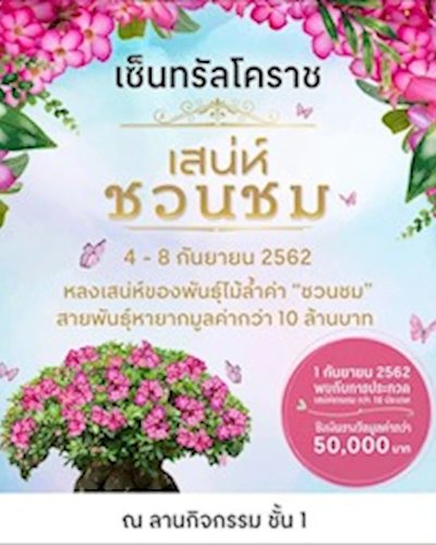 เสน่ห์ชวนชม Zipevent