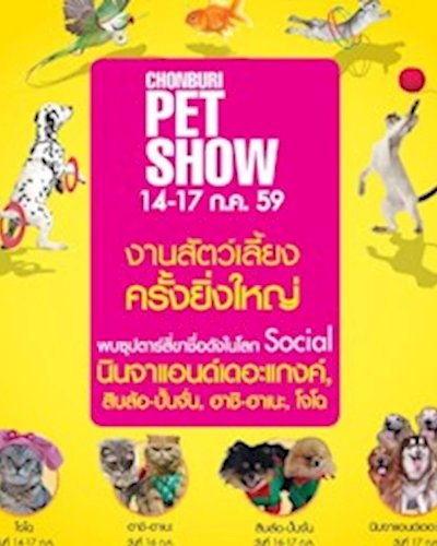 CHONBURI PET SHOW 2016 @CENTRALPLAZA CHONBURI Zipevent