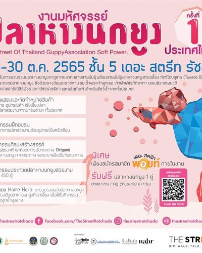 มหัศจรรย์ปลาหางนกยูง ครั้งที่ 1 Zipevent