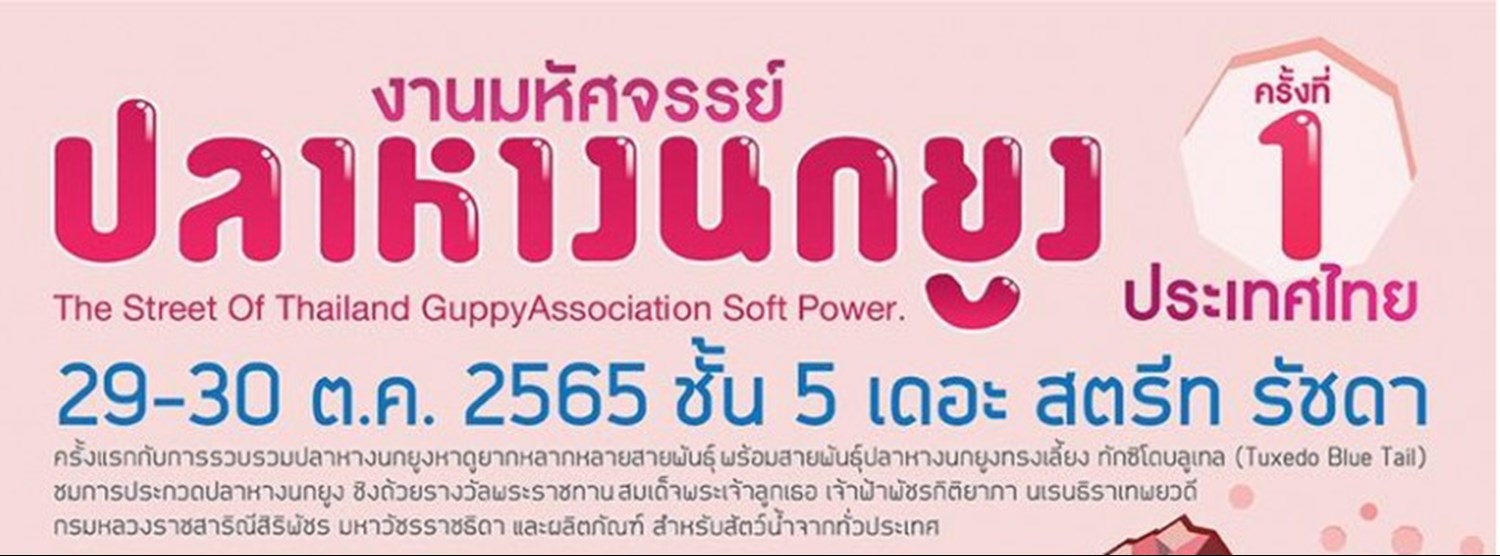 มหัศจรรย์ปลาหางนกยูง ครั้งที่ 1 Zipevent