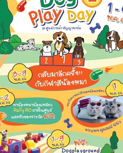 Dog Play Day #2 Zipevent