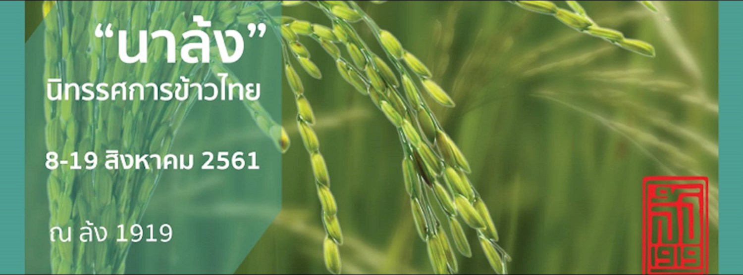 นาล้ง Zipevent