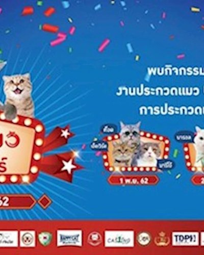 บลูพอร์ต ทาสแมวอินเตอร์ ฟรีเว่อร์ Zipevent
