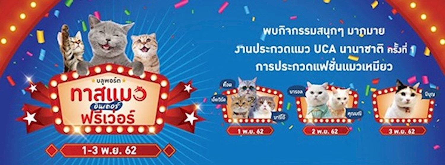 บลูพอร์ต ทาสแมวอินเตอร์ ฟรีเว่อร์ Zipevent