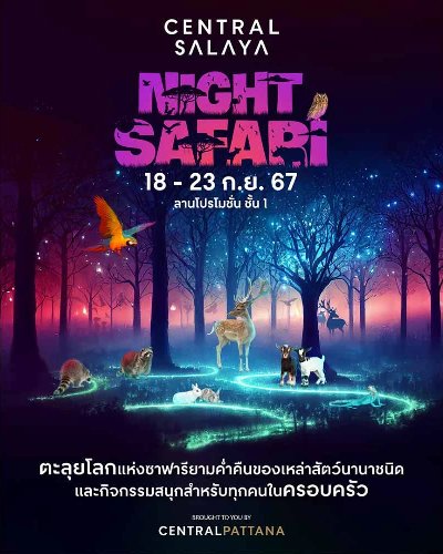 NIGHT SAFARI Zipevent