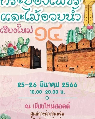 กระบองเพชร และไม้อวบน้ำ เชียงใหม่ ครั้งที่ 14 Zipevent